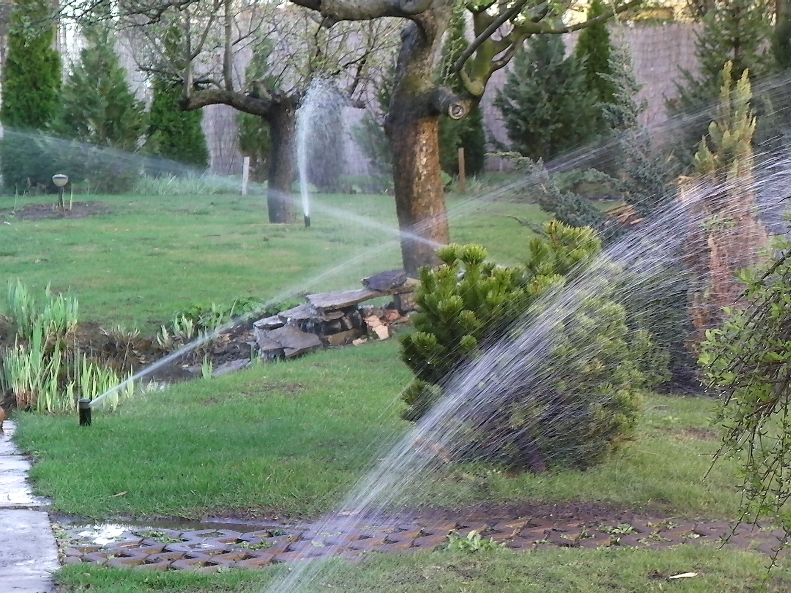 Garden sprinklers spraying water over a green lawn with trees, shrubs, and a small pond in dusk light, muted green and grey tones