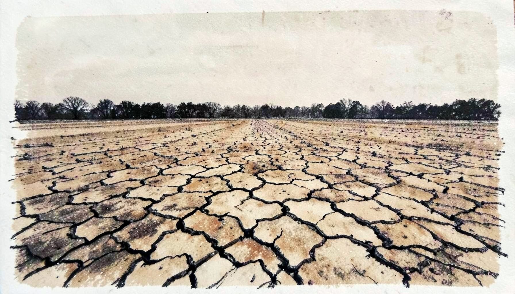 Dry cracked earth stretching toward a distant treeline, pale beige and dusty brown tones under a hazy sky
